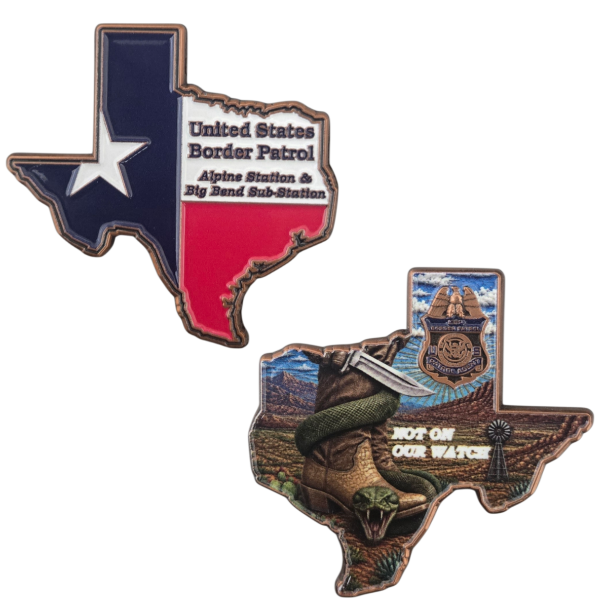Alpine Station  & Big Bend Sub-Station Coin